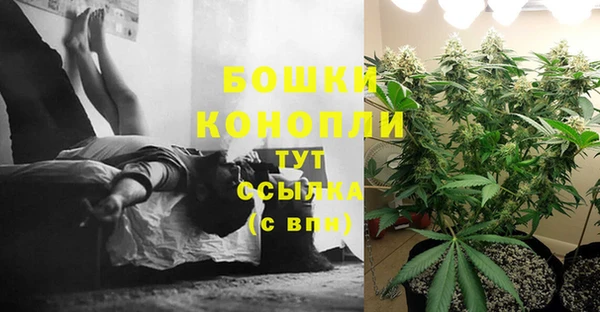 прущие крисы Майский